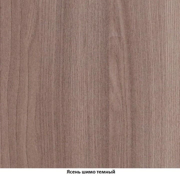 Шкаф ДЕЛЬТА 8